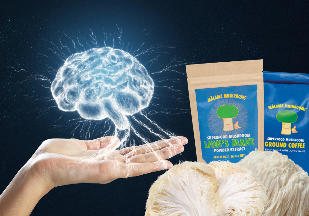Lion'S Mane And Meditation: Enhancing Mindfulness Through Neurogenesis