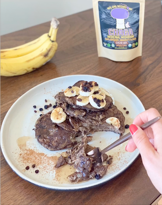 Chocolate Mushroom Paleo Pancakes (Paleo GF)
