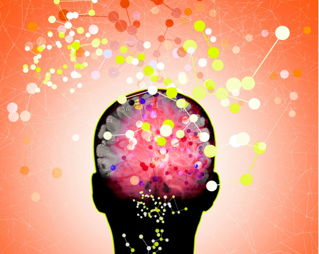 What Are Mushroom Nootropics? + 5 Natural Nootropics To Enhance Your Mind!