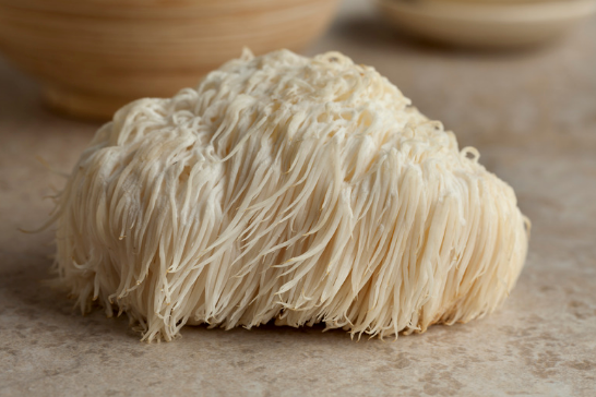 Lion's Mane Powder Extract