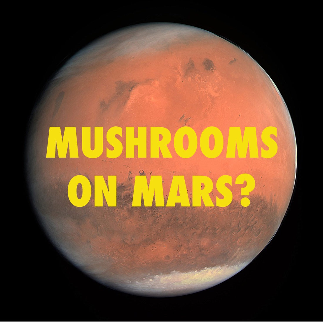 Mushrooms on Mars?