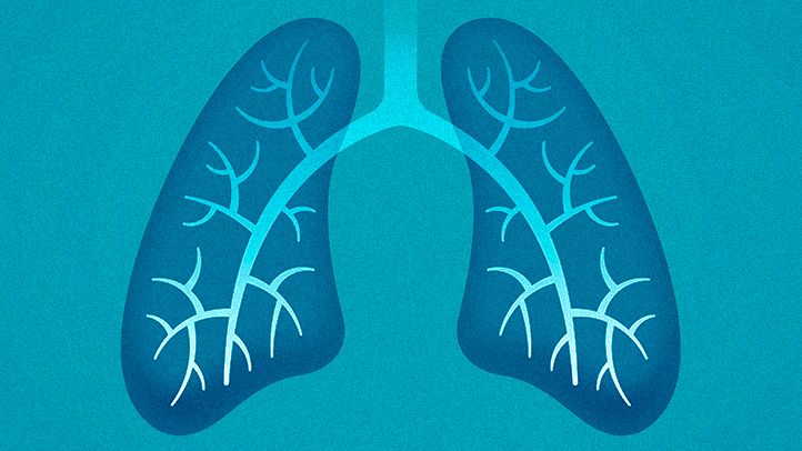 The Power of Breath