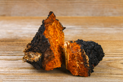 Chaga: The King of Medicinal Mushrooms