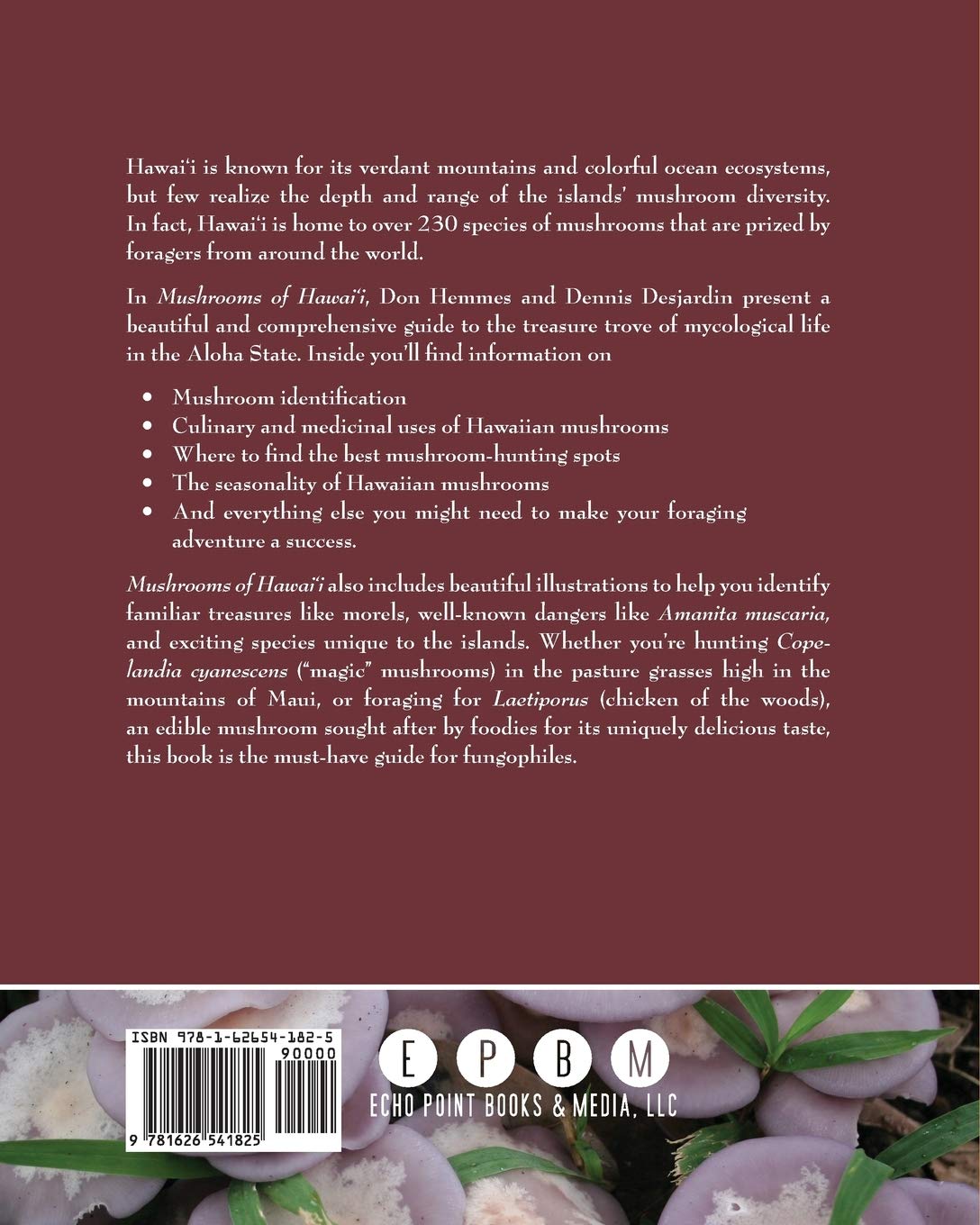 Mushrooms of Hawai'i: An Identification Guide (Paperback)