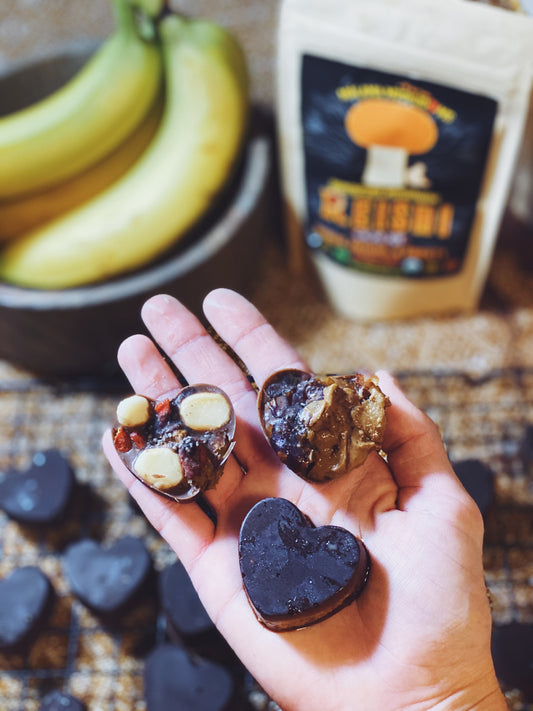 Mushroom Chocolate Nut-Butter Cups (Vegan GF)