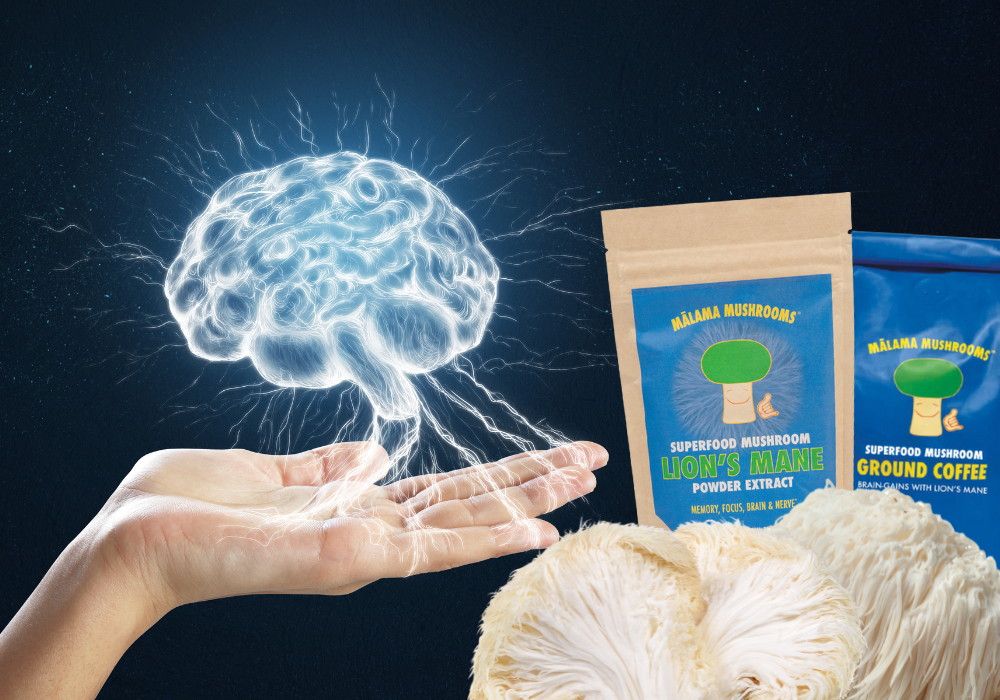 Lion's Mane Mushroom: Unraveling the Brain-Boosting Benefits of Nature's Nootrop