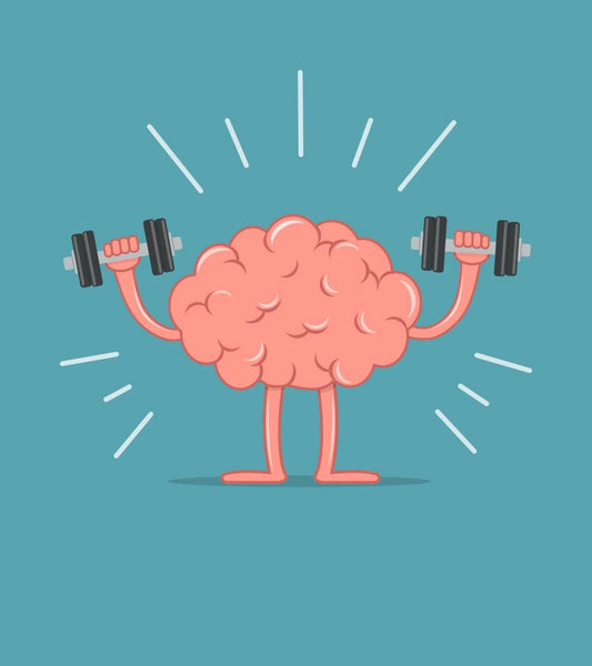 Neurogenesis: How to Build your Brain