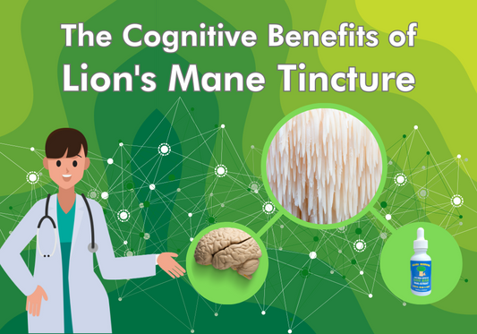 The Cognitive Benefits of Lion's Mane Tincture