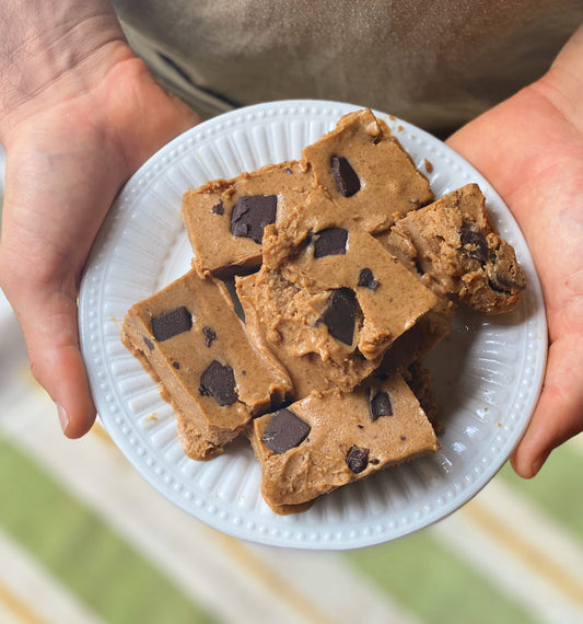 Reishi Cashew Butter Chocolate Chunk Fudge (Paleo Vegan GF)