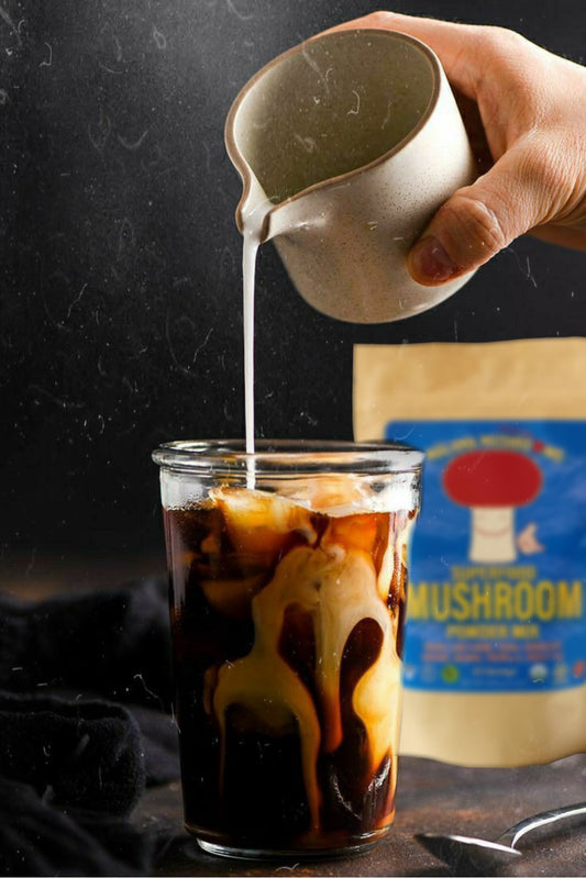 5 Easy-to-Make Mushroom Elixirs for Home or Cafe!