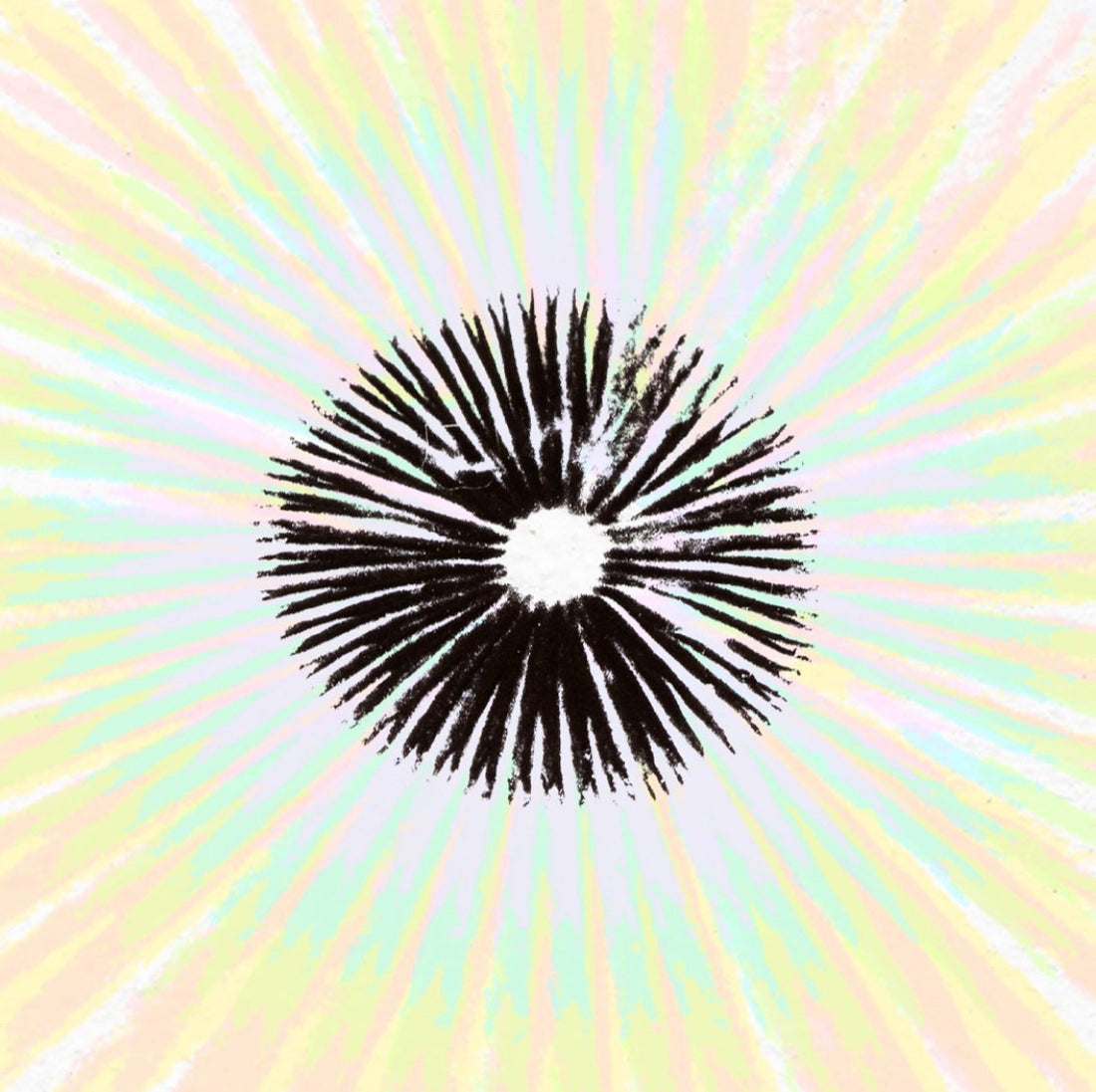 Make your own spore print!