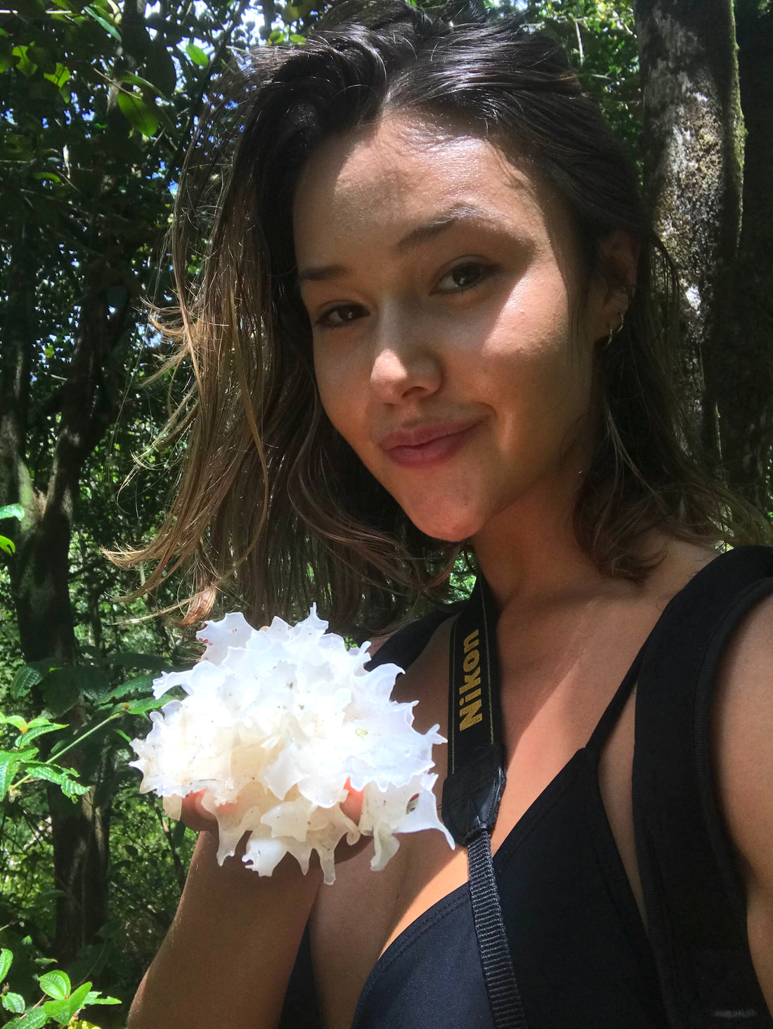 What is Tremella?