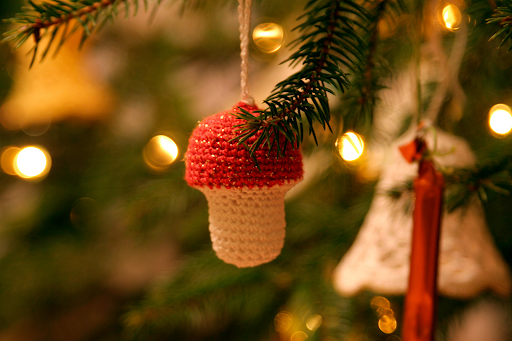 Santa was a Shroom Shaman: Meet the Psychoactive Mushroom that Created Christmas