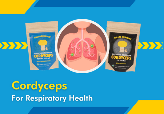 Cordyceps Militaris for Respiratory Health: How it Can Help with Asthma and Bronchitis