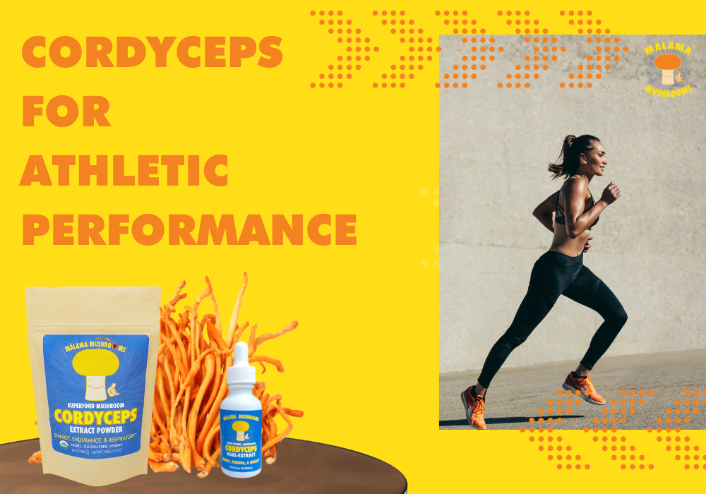 Cordyceps Mushroom for Athletic Performance and Endurance