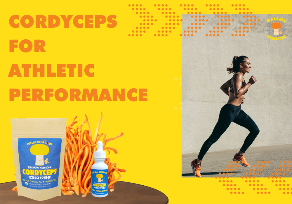 Cordyceps Mushroom for Athletic Performance and Endurance | Malama ...