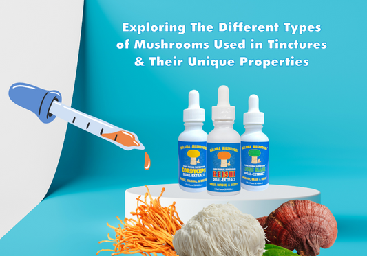 Exploring The Different Types of Mushrooms Used in Tinctures and Their Unique Properties