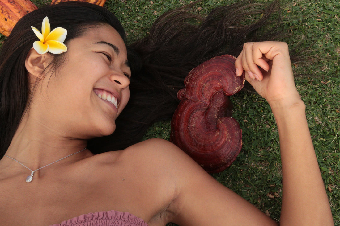 Reishi: "Mushroom of Immortality"