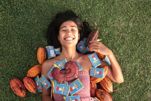 The Benefits of Chocolate & Mushrooms - Your New Favorite Combo.