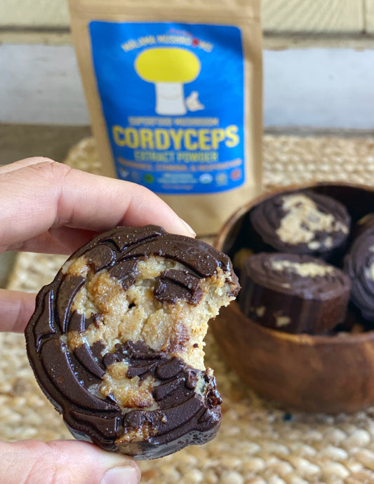 Cordyceps Choco-Chip Cookie Dough Bites (Paleo Vegan GF)