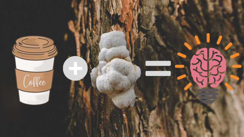 Lion's Mane Coffee | The Mushroom To Start Your Day!