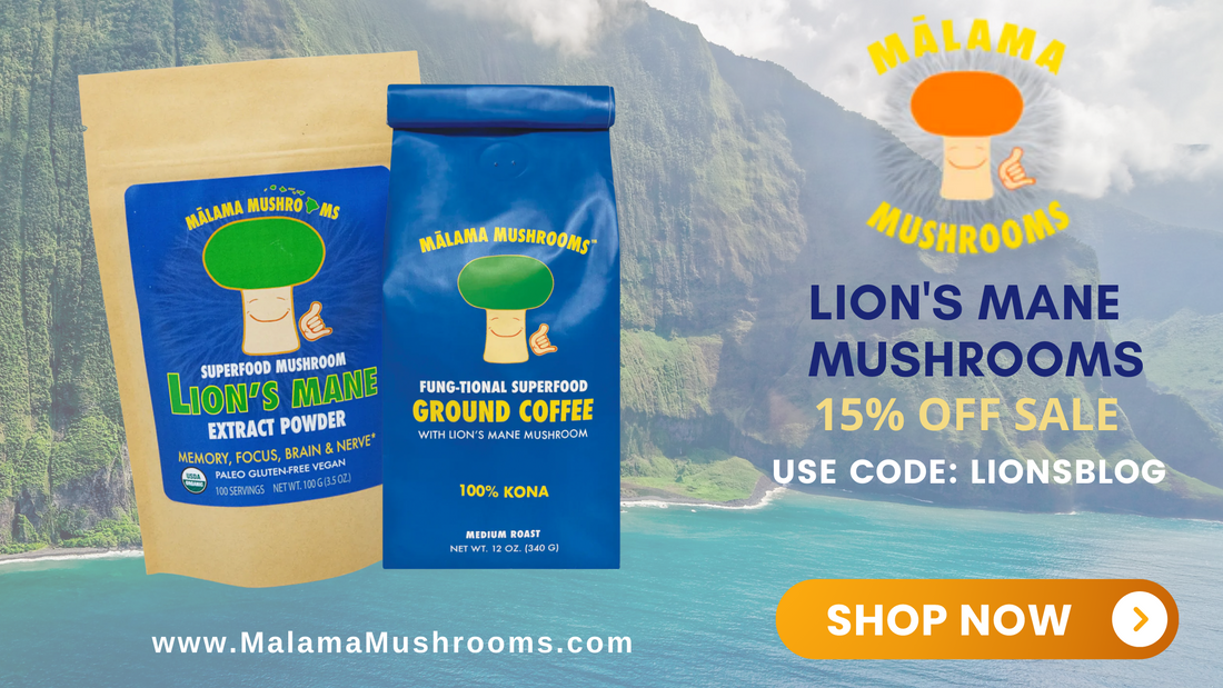 The Best Lion's Mane Products | Tincture, Supplements, Extract powder, and coffee