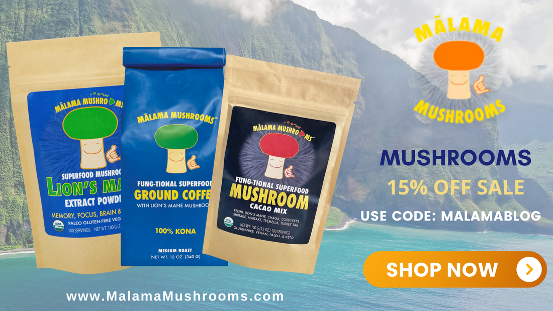 The Best Cordyceps Mushroom Products | Tincture, Supplements, Extract Powder, and Coffee