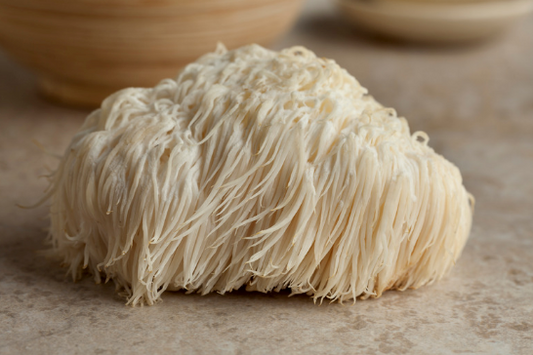 Lion's Mane Powder Extract