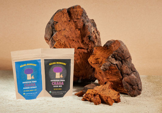 5 Delicious Ways to Incorporate Chaga Mushroom Powder into Your Diet