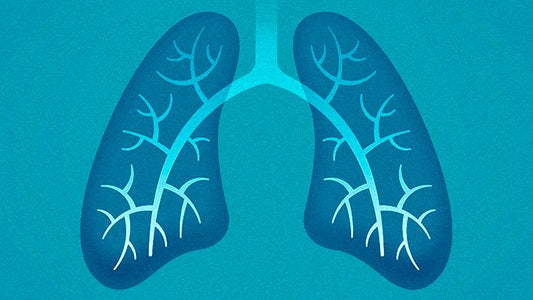 The Power of Breath