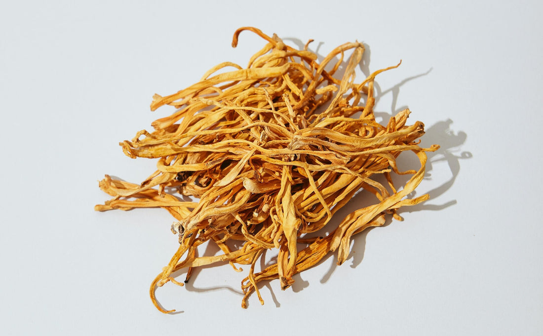 Get To Know the Natural Energy-Fueling Cordyceps Mushroom
