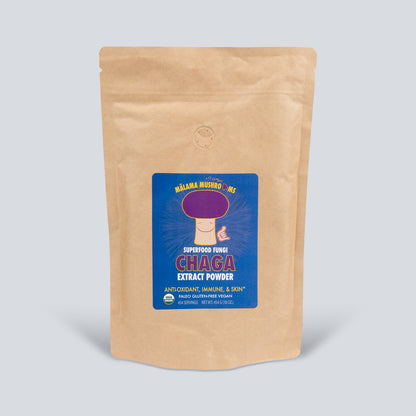 Chaga Mushroom Extract Powder