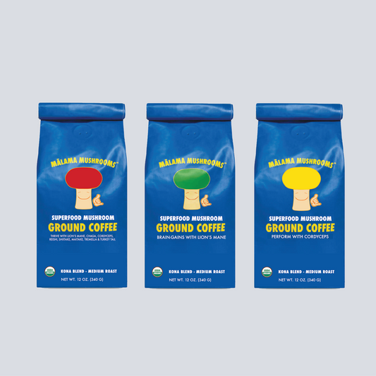 Mushroom Coffee Lover Variety-Pack Bundle