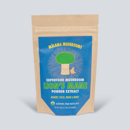 Lion's Mane Mushroom Extract Powder