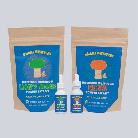 Productivity & Chill Bundle (Ultimate Extract)