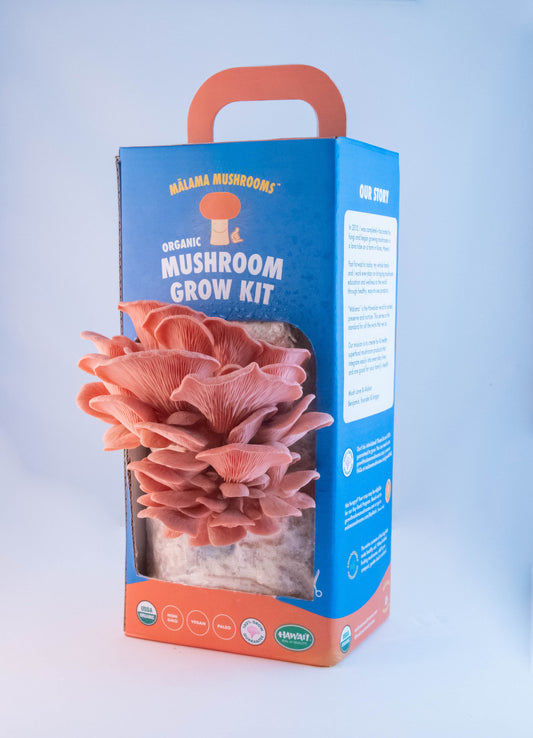 Organic Mushroom Growkit - Pink Oysters (Pre-Order)